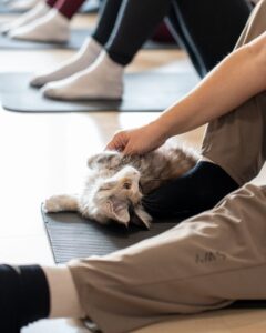 Mucka med varno in mirno pilates vadbo